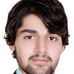 Hasib Rasuli, Kabul