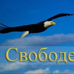 Сергей Шершаков, 46 лет, Ярославль