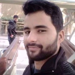 Junaid Mir, 27 лет, Srinagar