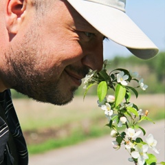 Дмитрий Шахматов, 44 года, Санкт-Петербург