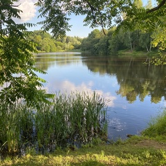 Луиза Дзукаева, Барвиха (поселок)