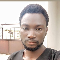 Joseph Orgenda, 31 год, Abuja