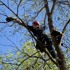 Татьяна Скородумова, Санкт-Петербург