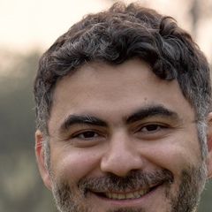 David Djindjikhachvili, 49 лет, Amsterdam