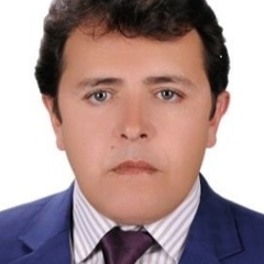 Ramin Farid, 44 года