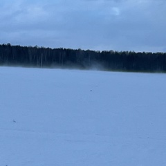 Владимир Труфанов, 36 лет, Брянск