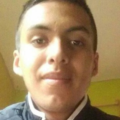 Hector-Manuel Gutierrez-Gomez, 25 лет, Aguascalientes