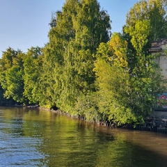 Александр Можаров, Санкт-Петербург