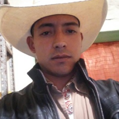 Carlos Ibarra, 28 лет, Durango