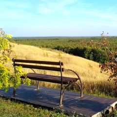 Антон Токарев, Липецк