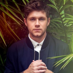 Niall Horan, 31 год, Mullingar