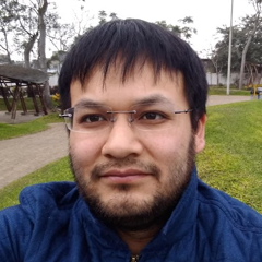 Luis Alberto Linares Gonzales, 39 лет, Lima