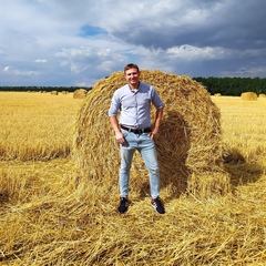 Павел Комаров, Воронеж