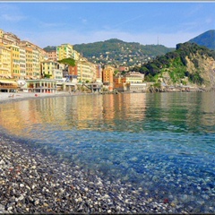 Domenico Varone, 57 лет, Camogli