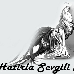 Hatirla Sevgili-Sh, 65 лет, Скопје