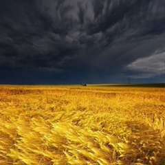 Андрій Шеремет, Киев