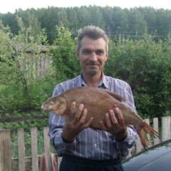 Сергей Сушнов, 64 года, Челябинск