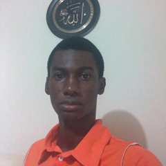 Hamed Ouattara, 30 лет, Abidjan