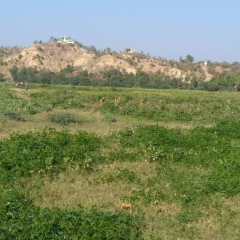 Han Komgy, 40 лет, Magway