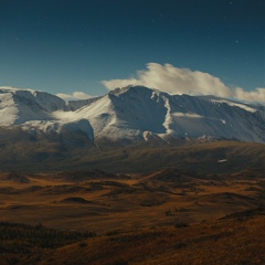 Марина Алексеевна