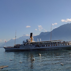 Айсен Петухов, Lausanne