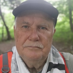 Александр Бойцов, 72 года, Мичуринск