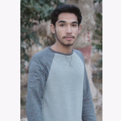 Abdul GhAni, 25 лет, Quetta