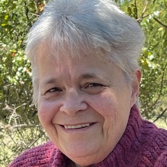 Kim Geiser, 68 лет, Cedar Park