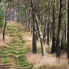 Артур Агеев, Бобруйск