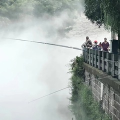 Виноград Счастливый, 19 лет, Changchun