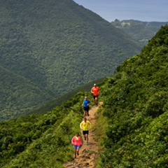 Kris Van, Hong Kong