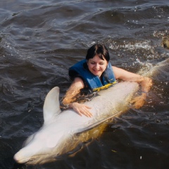 Елена Стародубова, 37 лет, Тула