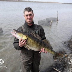 Павел Хоперсков, 50 лет, Воронеж