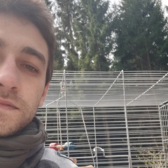 Andrei Grigore, 27 лет, Bucureşti