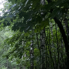 Александр Шалуханский, 19 лет