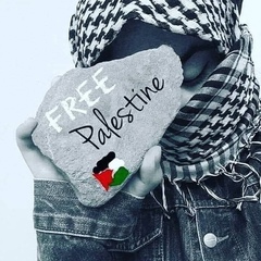 Free Palestine, 33 года, Gaza