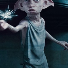 Dobby Is-Free, 29 лет