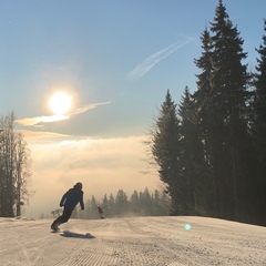 Александр Svidunovich, Брест