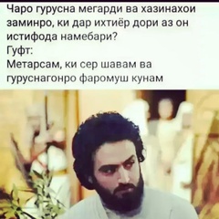 Алиев Шайх, Душанбе