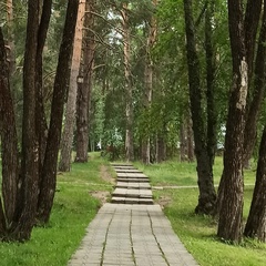 Наталья Сарафанова, 49 лет, Новоуральск