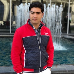 Basit Malik, 29 лет, Srinagar