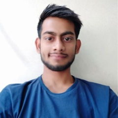 Rk Verma, 27 лет, New Delhi