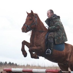 Алексей Виноградов, Москва