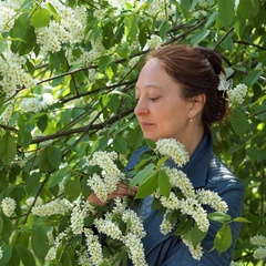 Дина Плюскина, Санкт-Петербург