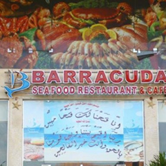 Barracuda Hurghada, 48 лет, Hurghada