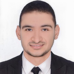 Mohamed Attia, 32 года, Kafr El Dawwar