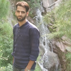 Junaid Sofi, 27 лет, Srinagar