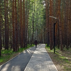 Владимир Гурский, Красноярск