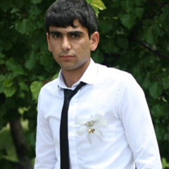 Nshan Kazaryan, 27 лет, Армавир