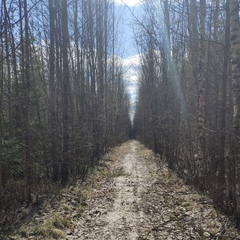 Ясмина Литвиненко, Санкт-Петербург